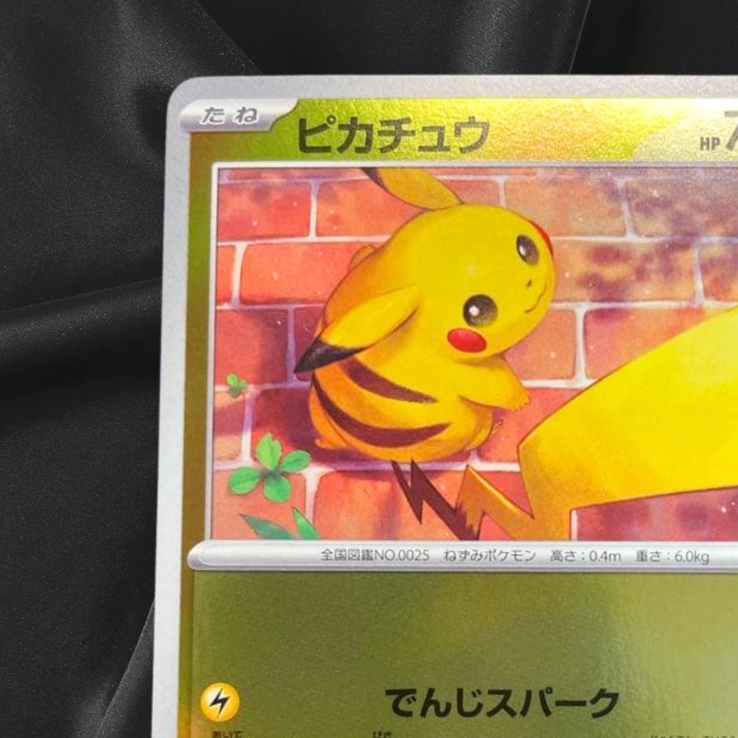Pikachu 216/SV-P Summer Promo Pack Pokemon Card Japanese Scarlet & Violet 2024