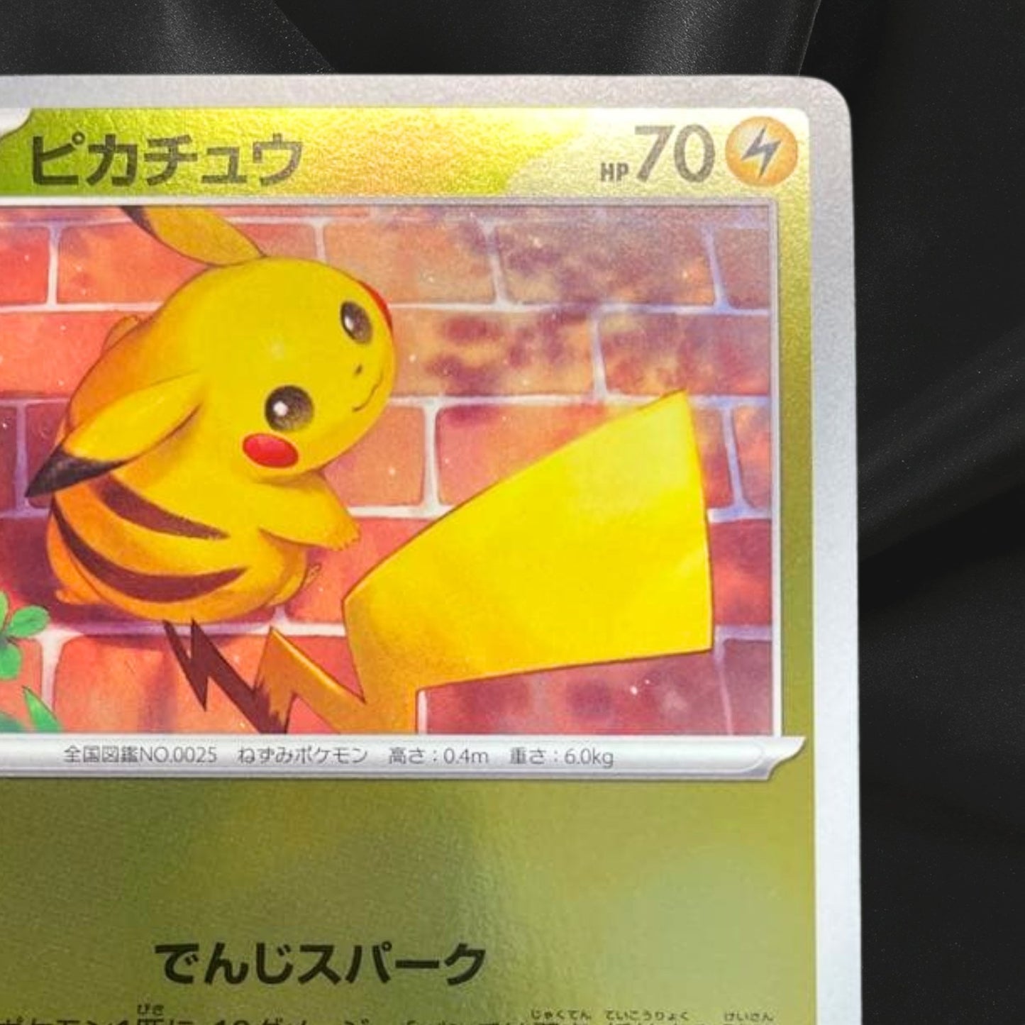 Pikachu 216/SV-P Summer Promo Pack Pokemon Card Japanese Scarlet & Violet 2024