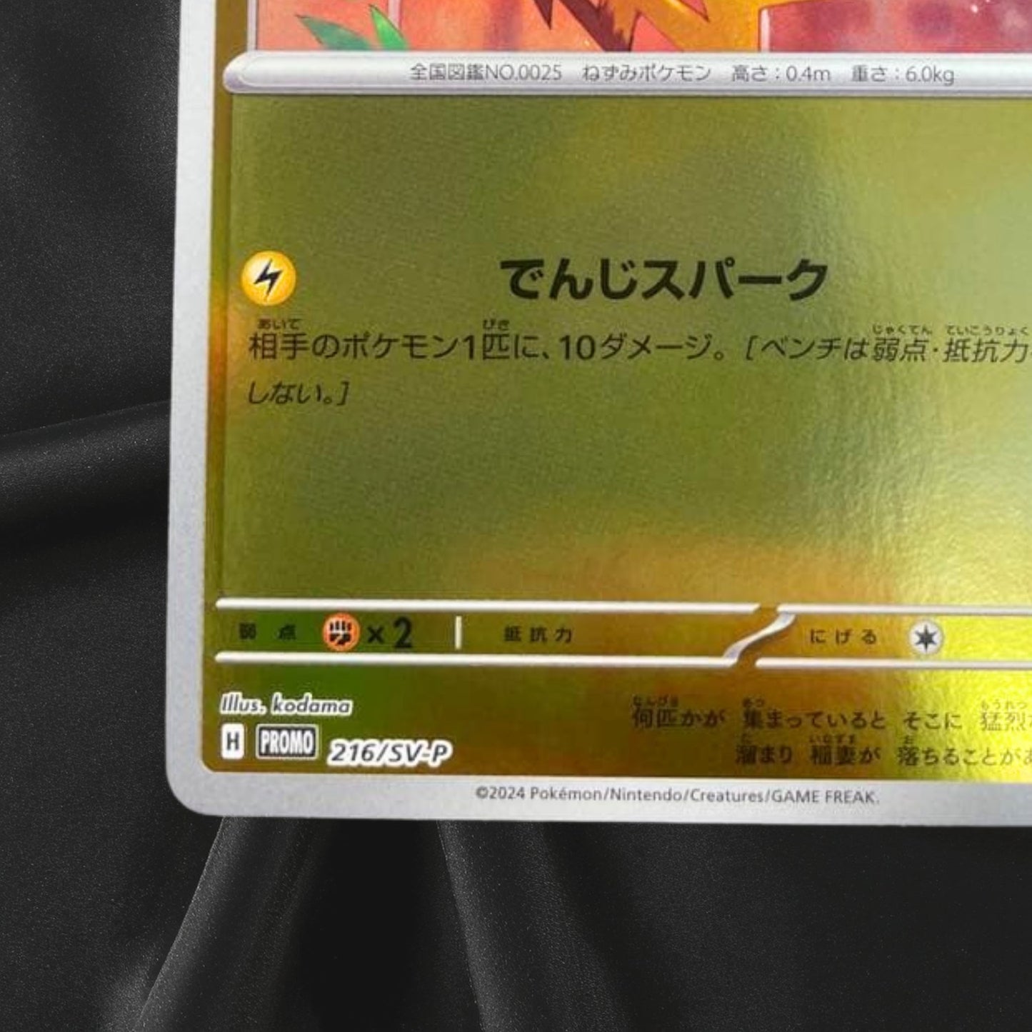 Pikachu 216/SV-P Summer Promo Pack Pokemon Card Japanese Scarlet & Violet 2024