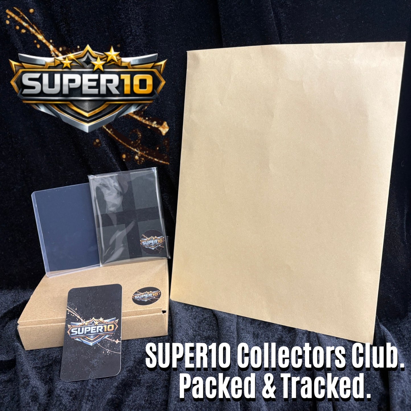 PSA 10 Pikachu V RR 020/028 S8a 25th Anniversary Pokemon Card Japanese h069
