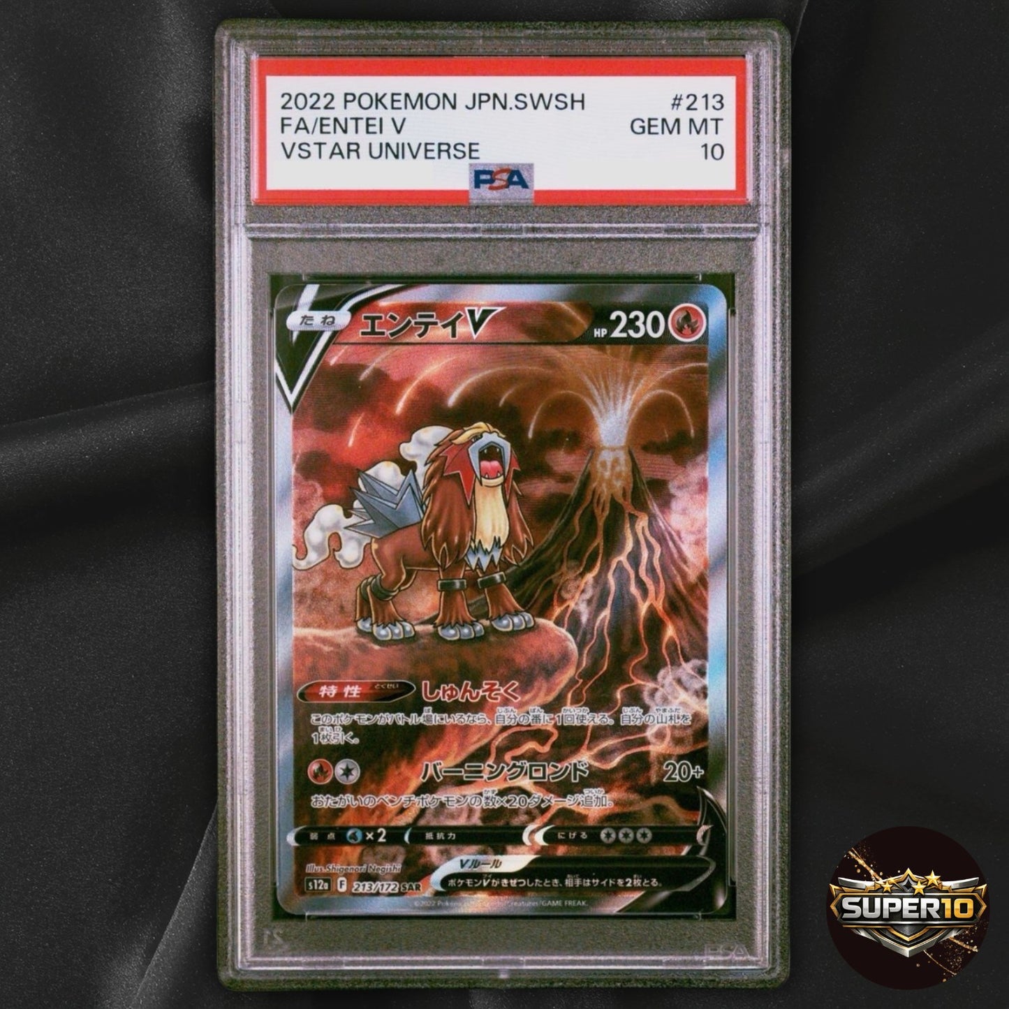 PSA 10 Entei V SAR 213/172 Sword & Shield Universe s12a Pokemon card Japan