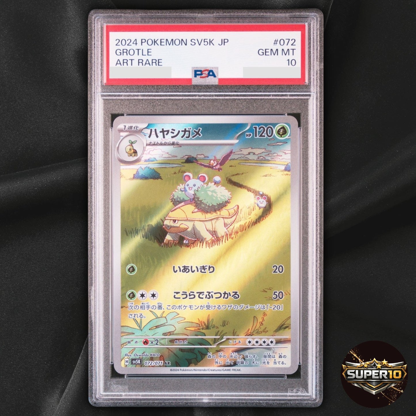 PSA 10 Pokemon Grotle 072/071 AR Wild Force SV5K Japanese